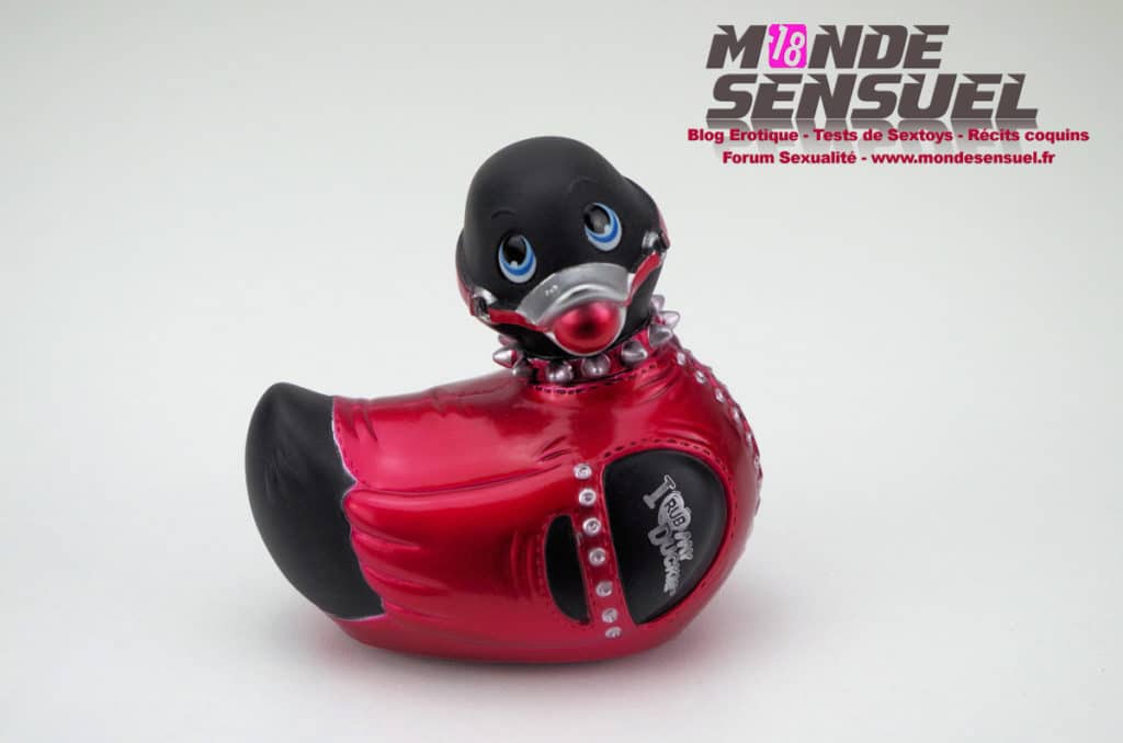 canard vibrant bdsm