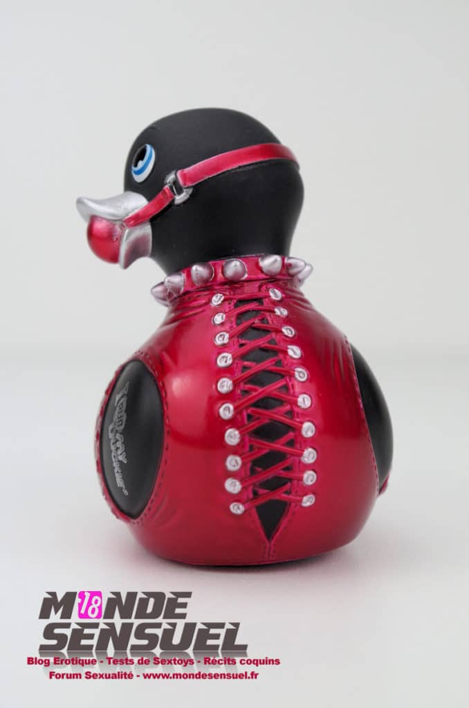 canard vibrant bdsm