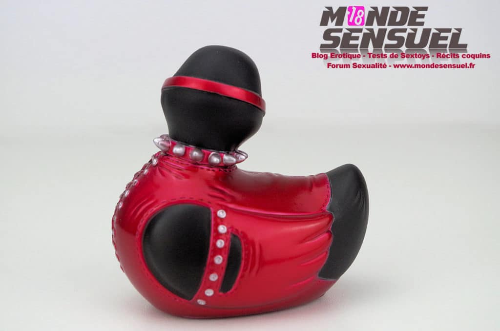 canard vibrant bdsm dos