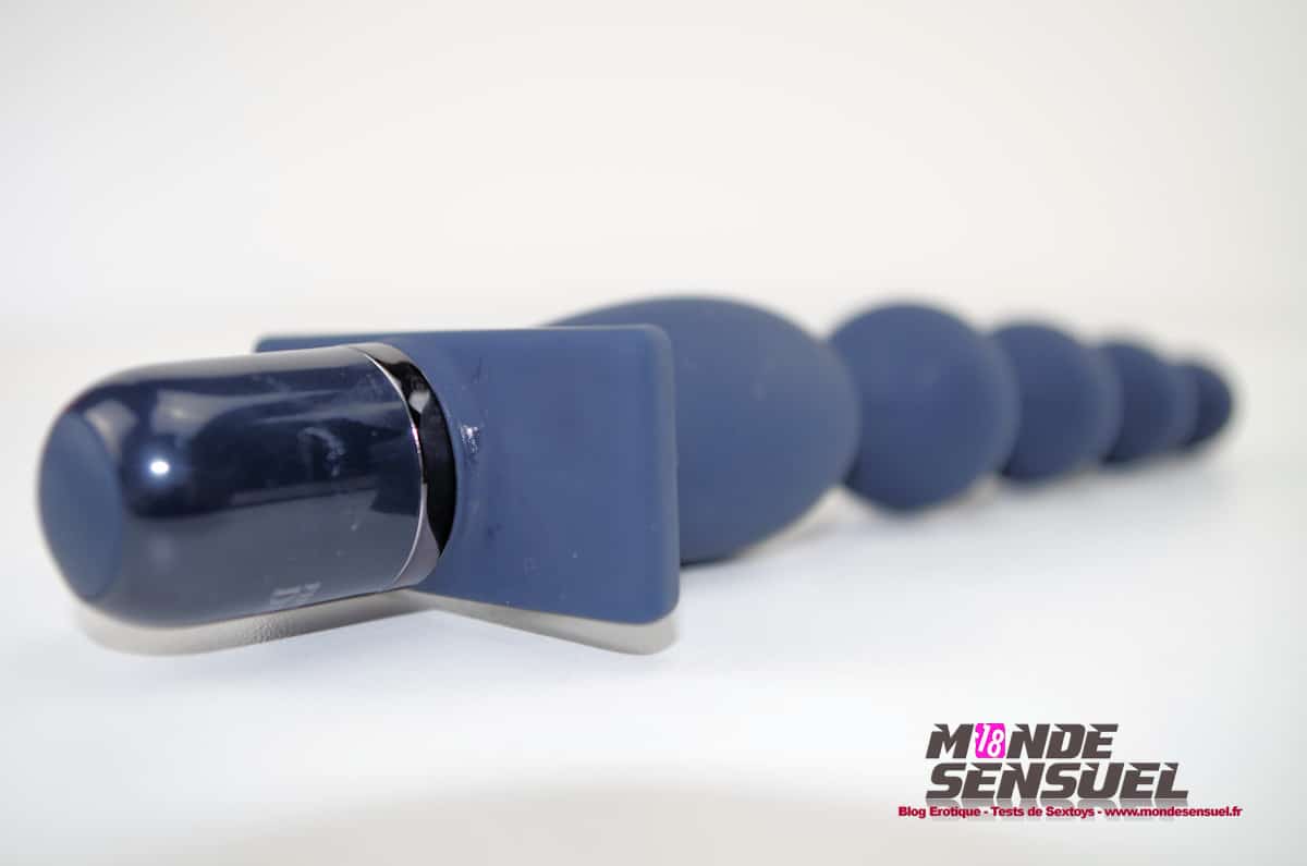 Vibromasseur Anal Carnal Promise