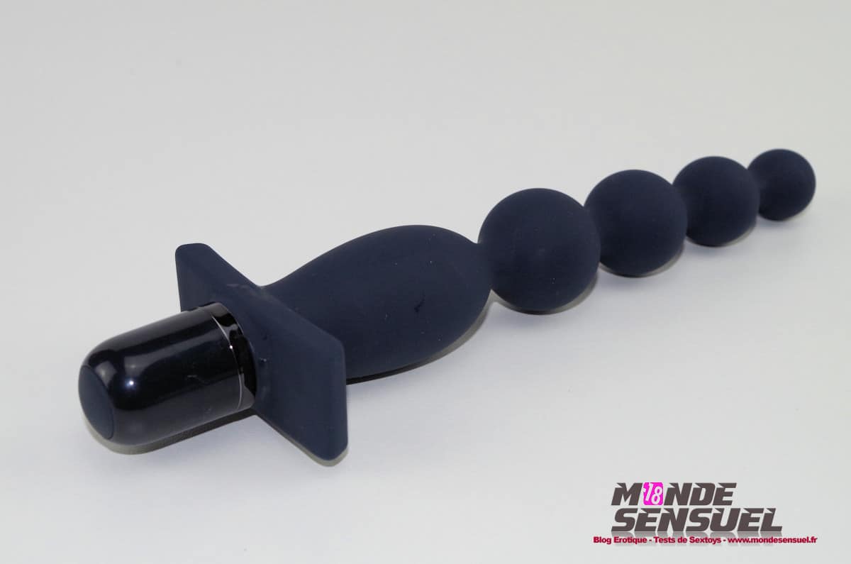 Vibromasseur Anal Carnal Promise