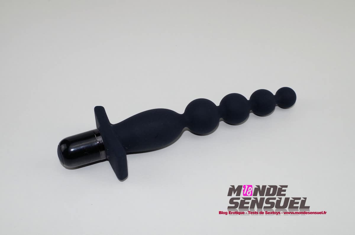 Vibromasseur Anal Carnal Promise