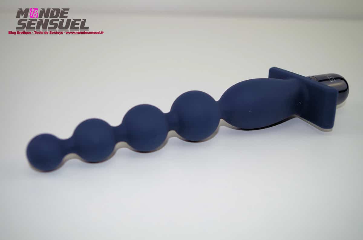 Vibromasseur Anal Carnal Promise