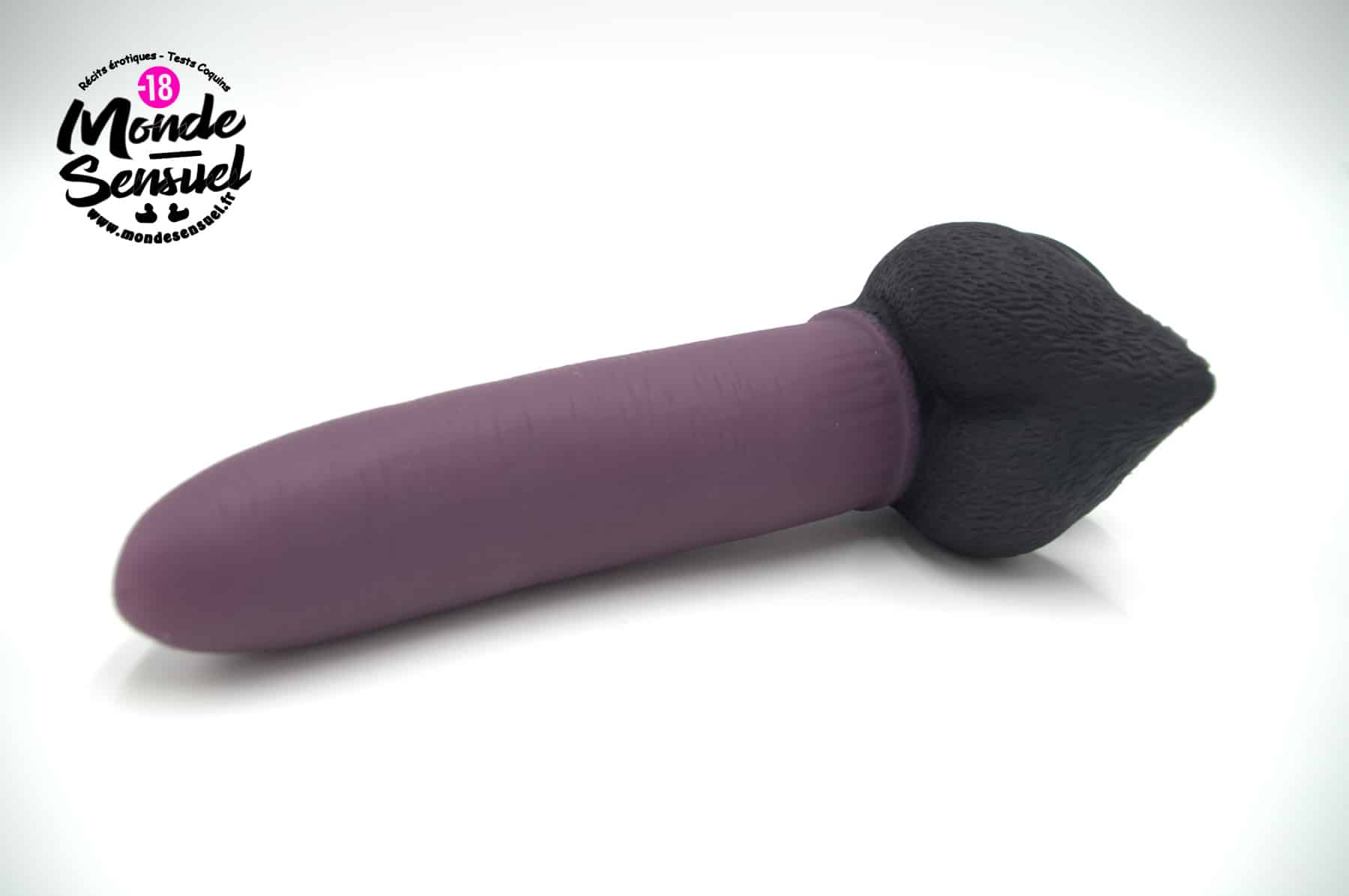 Gode forme animal kangourou photo